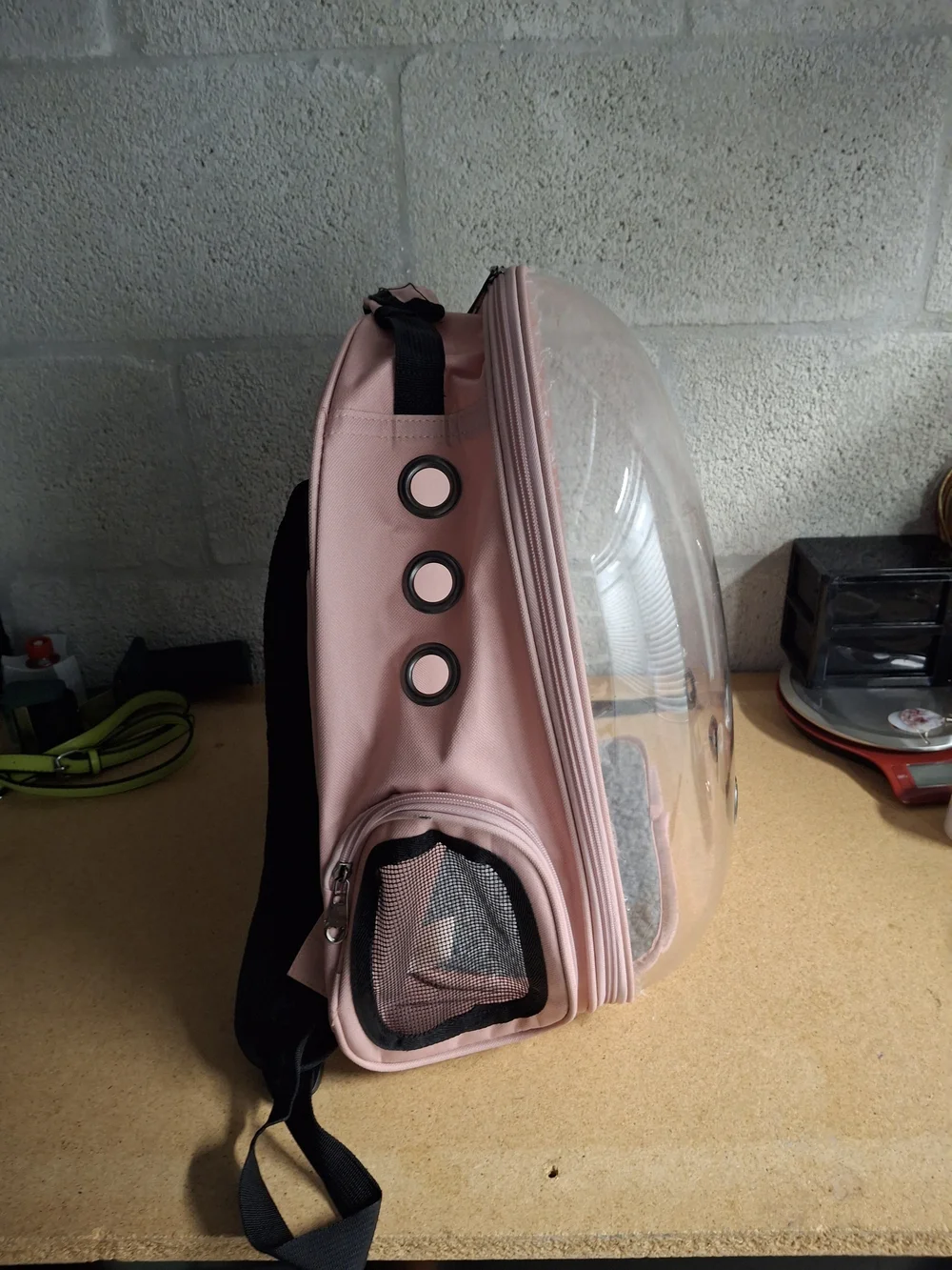 Clear Bubble Pet Carrier Backpack in Blush Pink